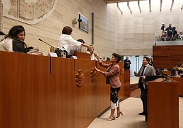 Votación para la Presidencia de la Asamblea en junio de 2019.