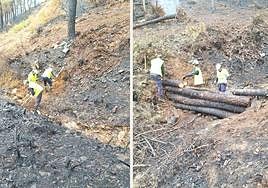 La Confederación Hidrográfica del Tajo trabaja en la recuperación de cauces tras el incendio