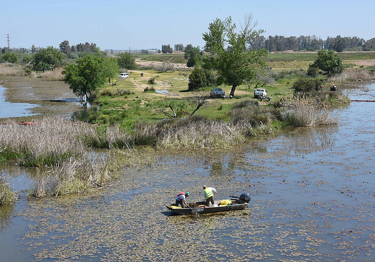 El Pico del Guadiana.