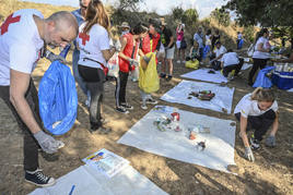 Voluntarios clasifican la basura