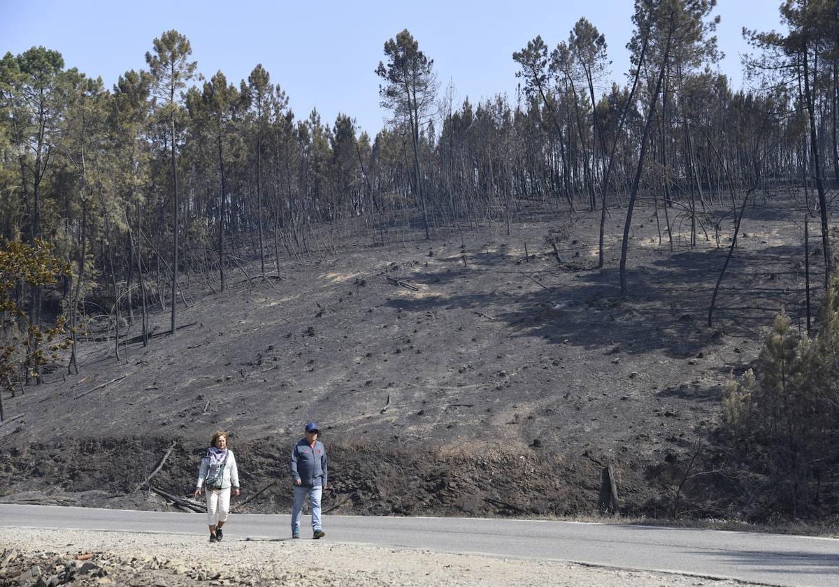 El Daño Forestal Del Incendio De Las Hurdes Y Sierra De Gata Roza Los ...