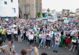 Manifestación de apoyo a la fusión de Don Benito-Villanueva (II)