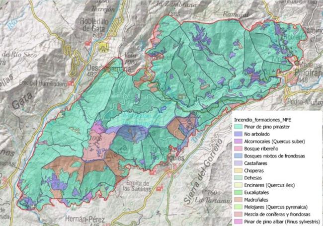 Formaciones de vegetación afectada por el incendio.