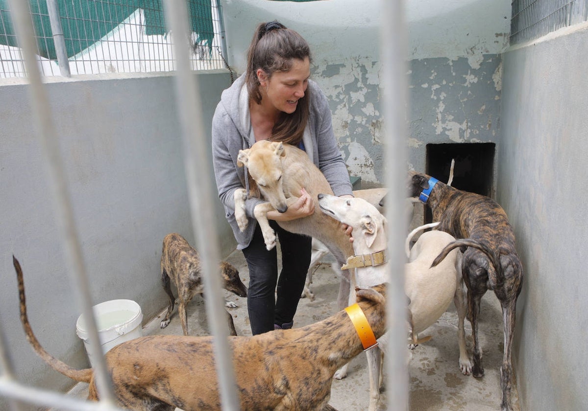 Laura Varaldi, responsable del Refugio San Jorge, en el interior de uno de los 23 cheniles para perros con los que cuenta el recinto.