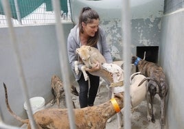 Laura Varaldi, responsable del Refugio San Jorge, en el interior de uno de los 23 cheniles para perros con los que cuenta el recinto.