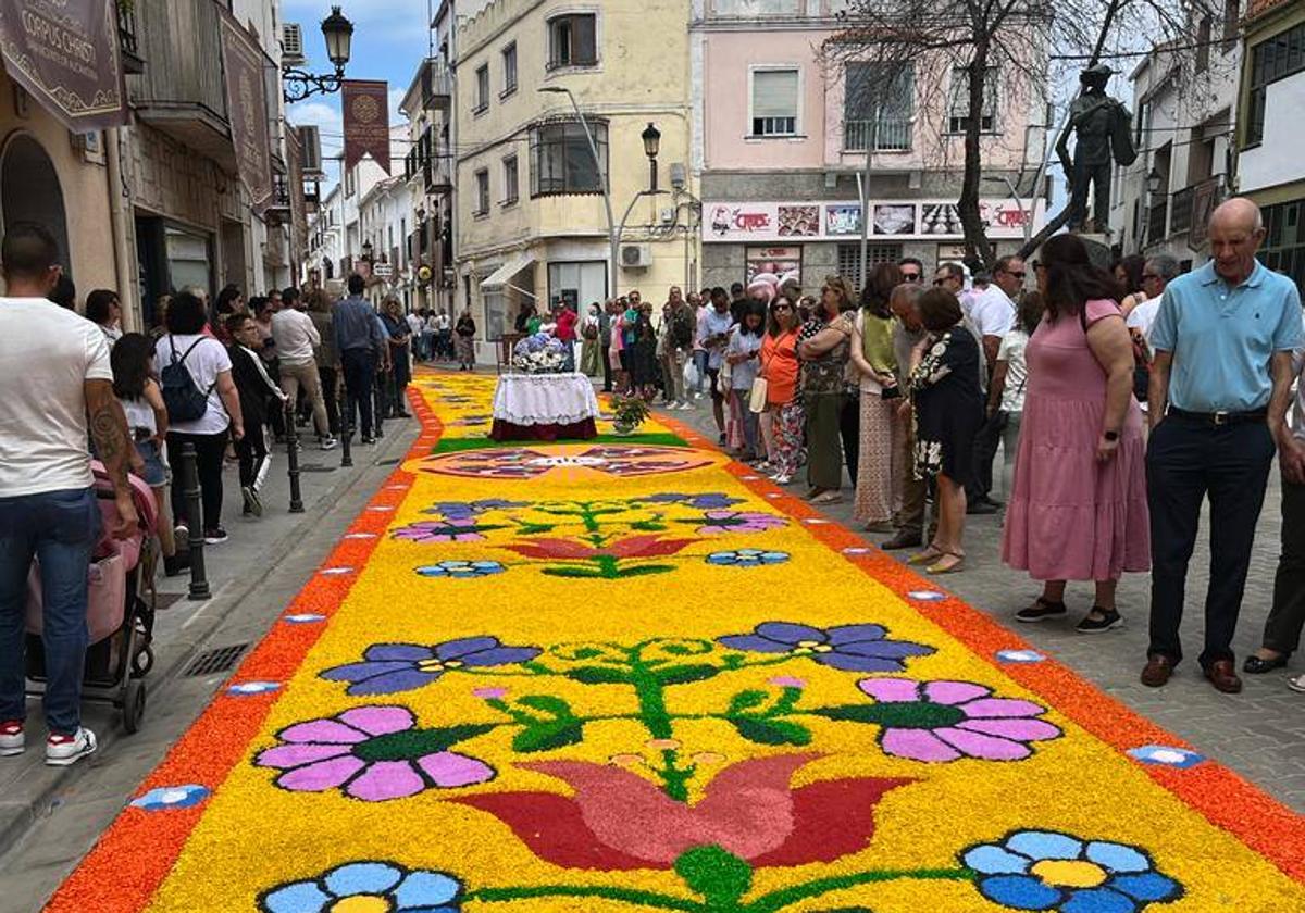 Alfombras efímeras en el Corpus de San Vicente