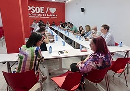 Esther Gutiérrez, a la izquierda, deja la Asamblea para ser diputada provincial. A la derecha, Begoña García Bernal en un momento de la Ejecutiva de este miércoles.