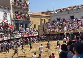 Intervenido el hombre corneado por un toro en los Sanjuanes de Coria este domingo