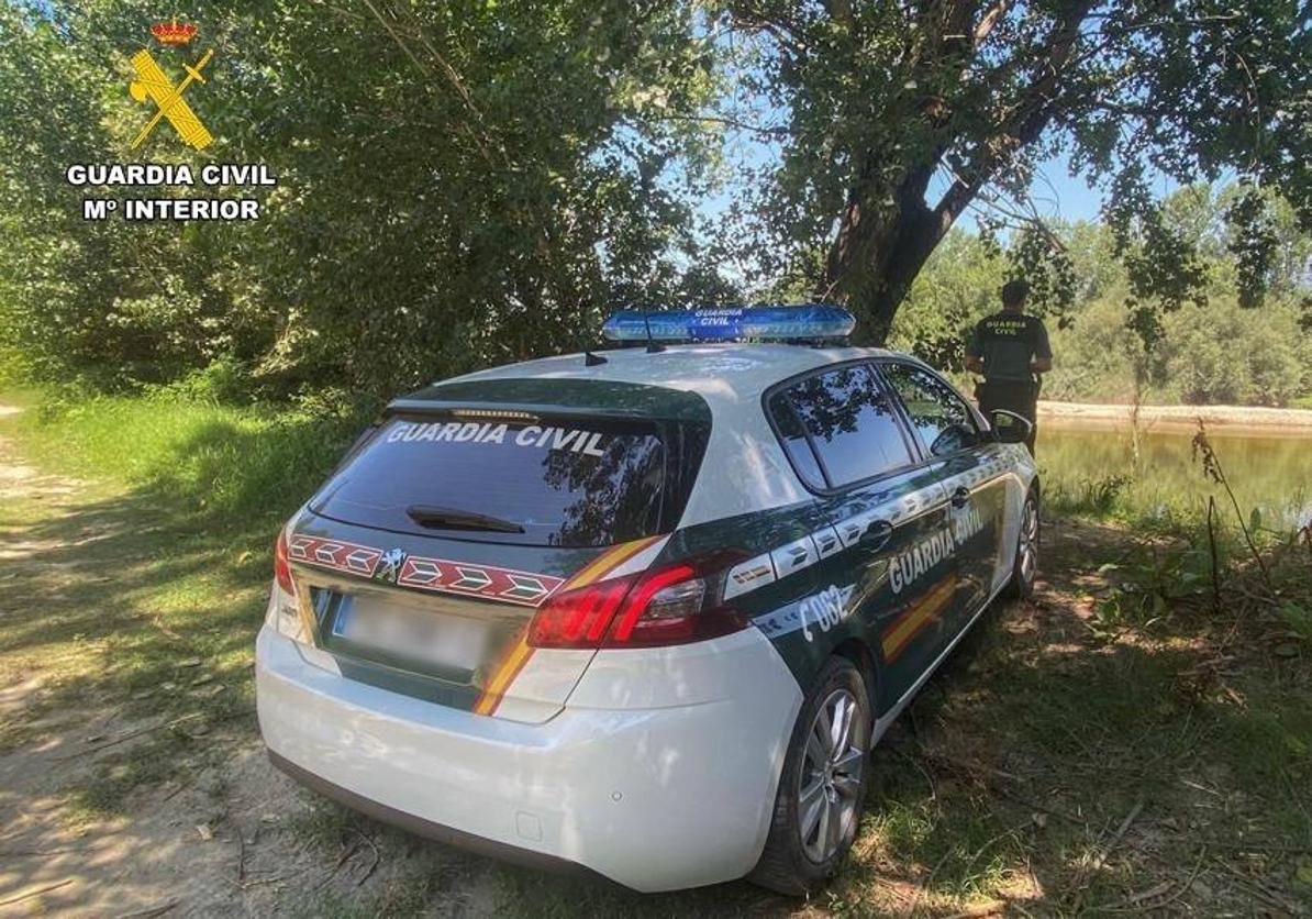 Detenido por maltrato tras hallar muerto a su perro en un coche en Madrigal de la Vera