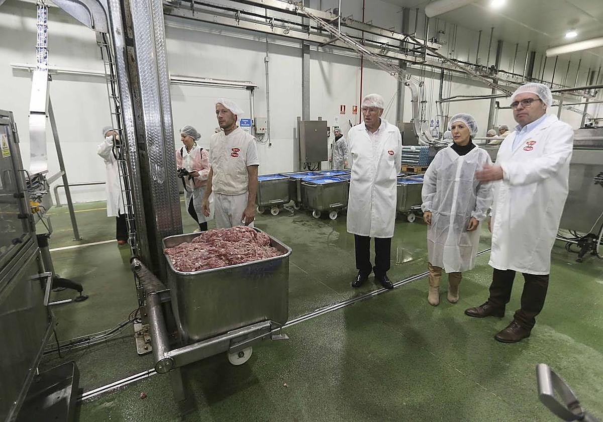 Planta de Apis en Mérida.