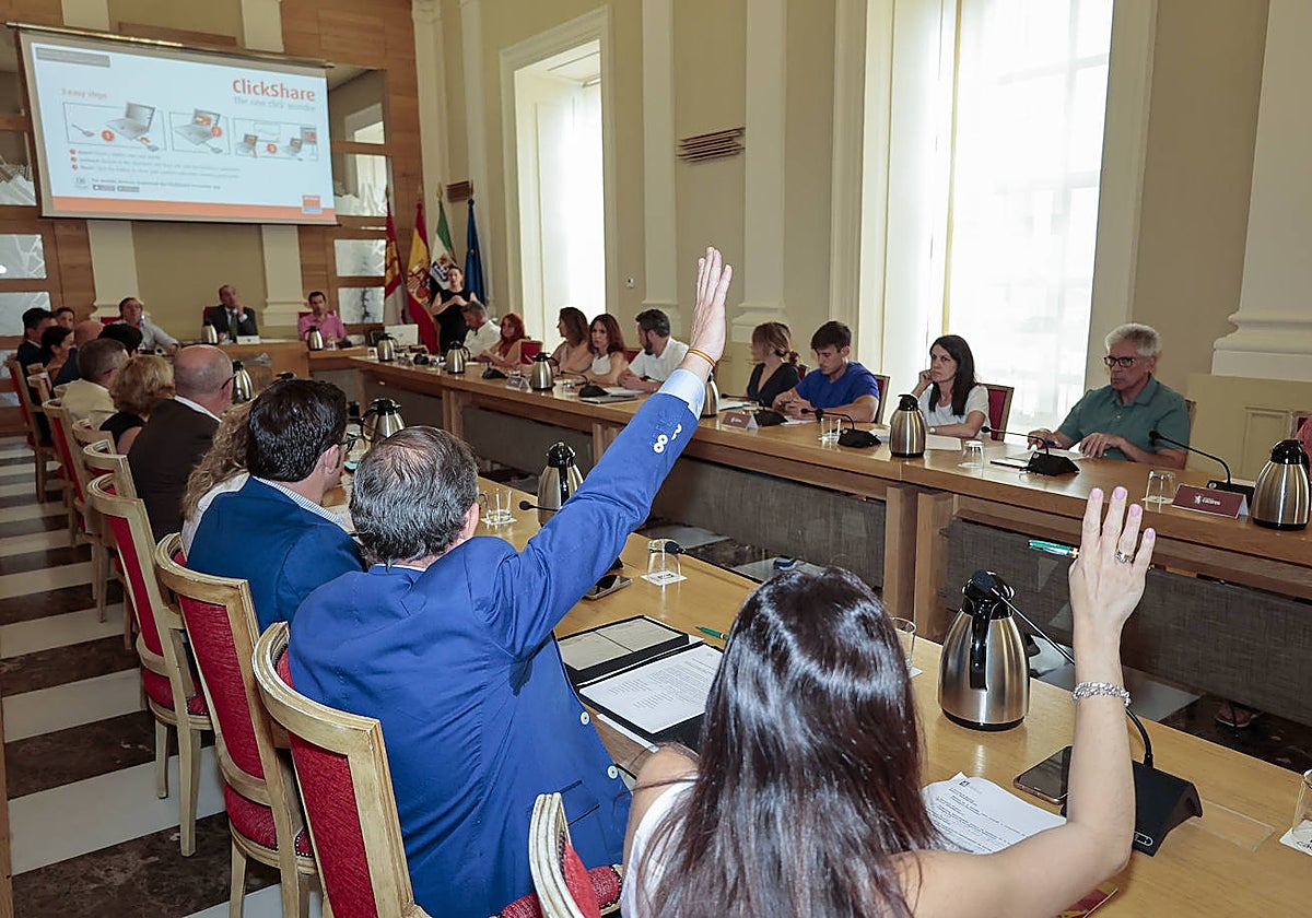Momento en el que los dos concejales de Vox, Eduardo Gutiérrez y Raquel Mirat, votan en contra de las mociones sobre retribuciones.