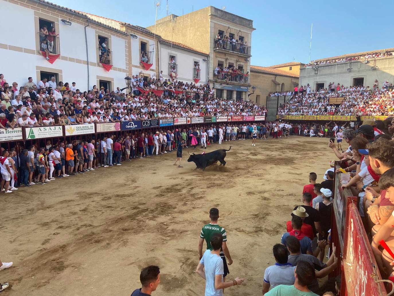 El último encierro de los Sanjuanes de Coria, en imágenes