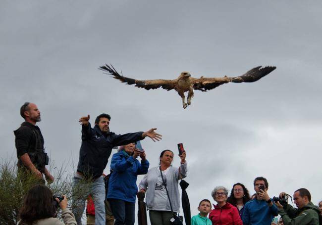 Momento de la liberación de Lluvia.