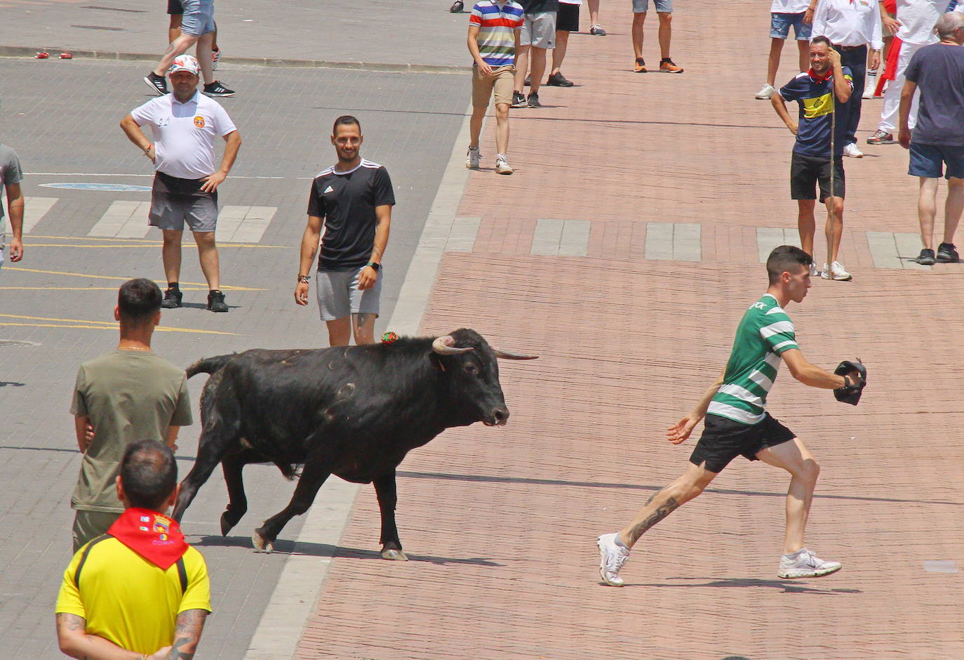 El último encierro de los Sanjuanes de Coria, en imágenes