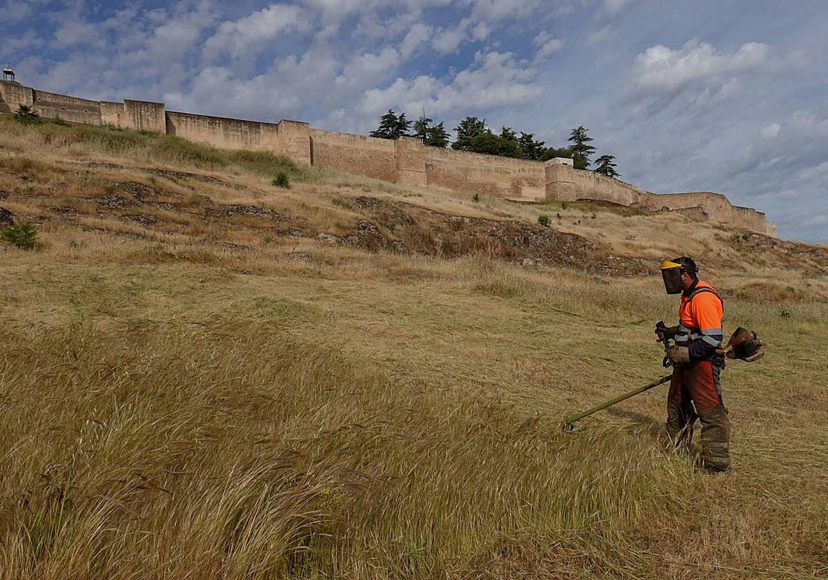 Un operario desbroza la ladera de la Alcazaba.
