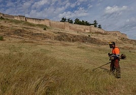 Un operario desbroza la ladera de la Alcazaba.