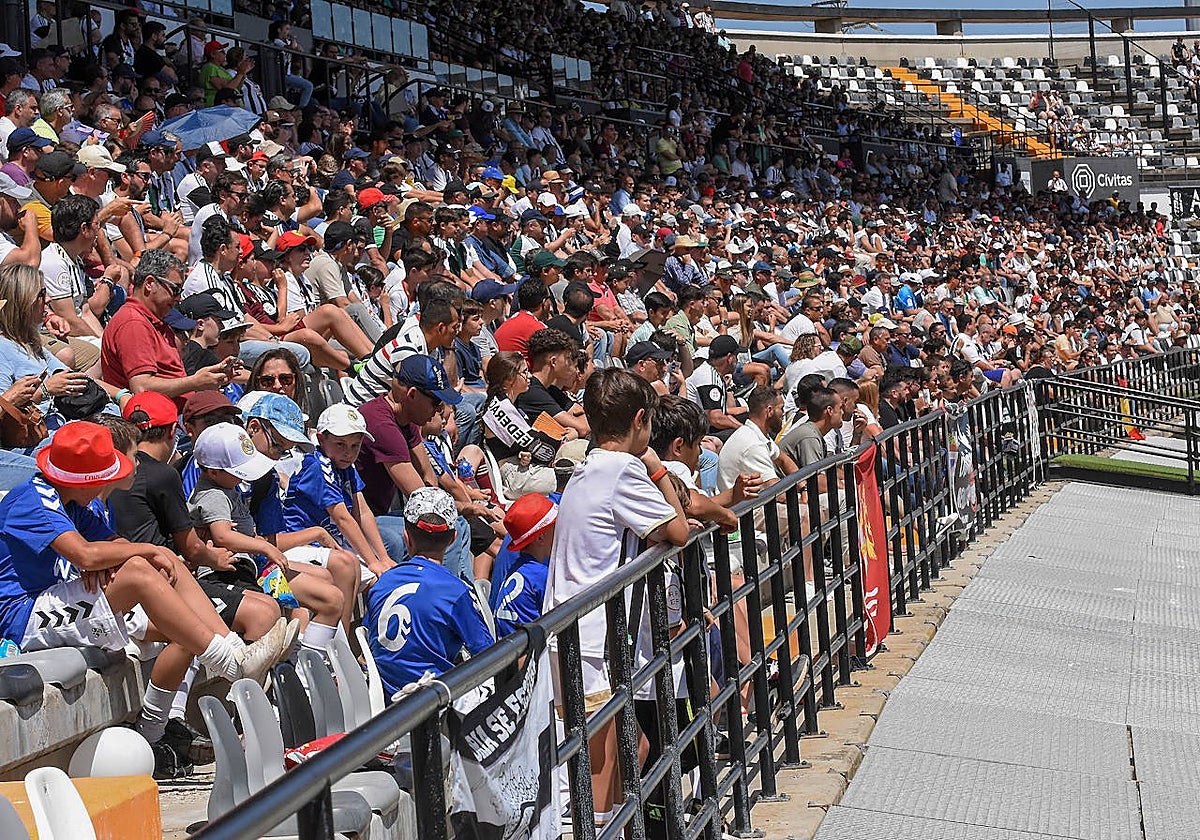Aficionados del Badajoz durante un partido en el Nuevo Vivero.