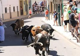 Imagen del primer encierro de Moraleja