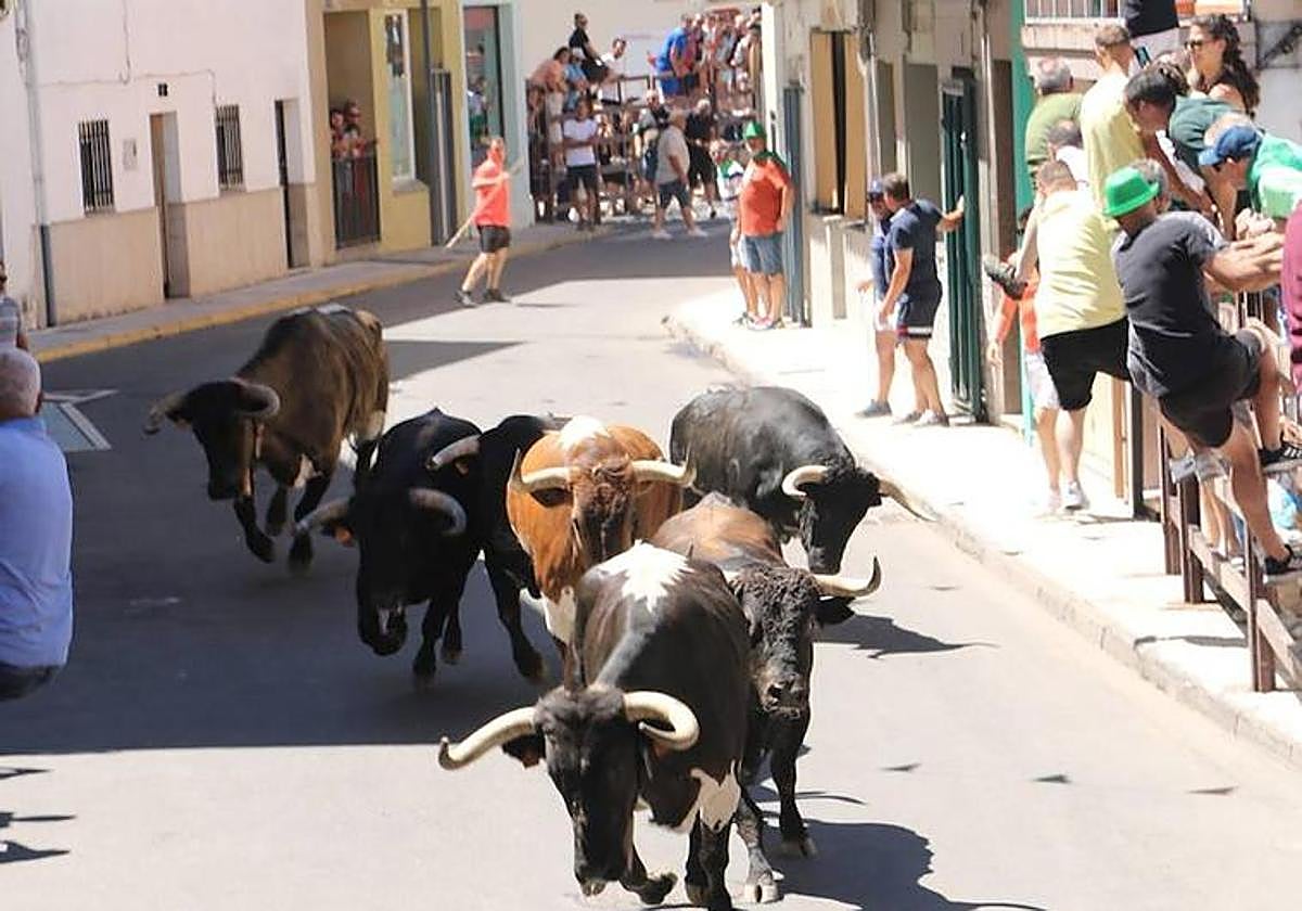 Imagen del primer encierro de Moraleja