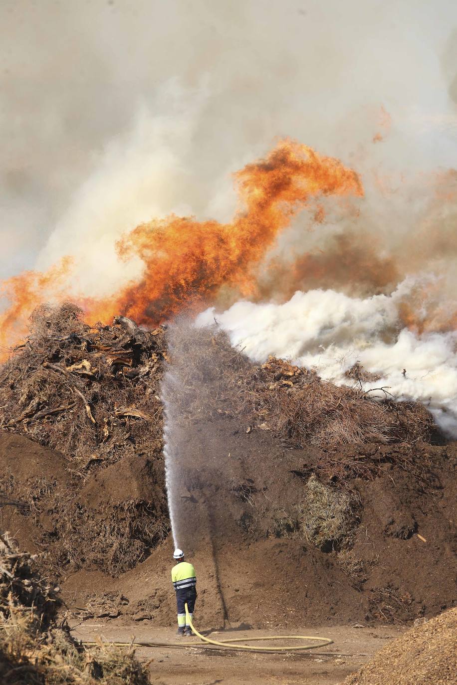 Así luchan los bomberos contra las llamas en la planta de Biomasa de Mérida (II)