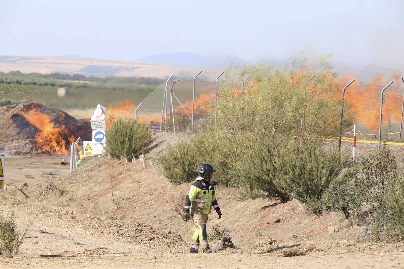 Así luchan los bomberos contra las llamas en la planta de Biomasa de Mérida (II)