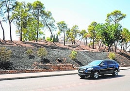 La última zona que se ha calcinado en la Alcazaba.