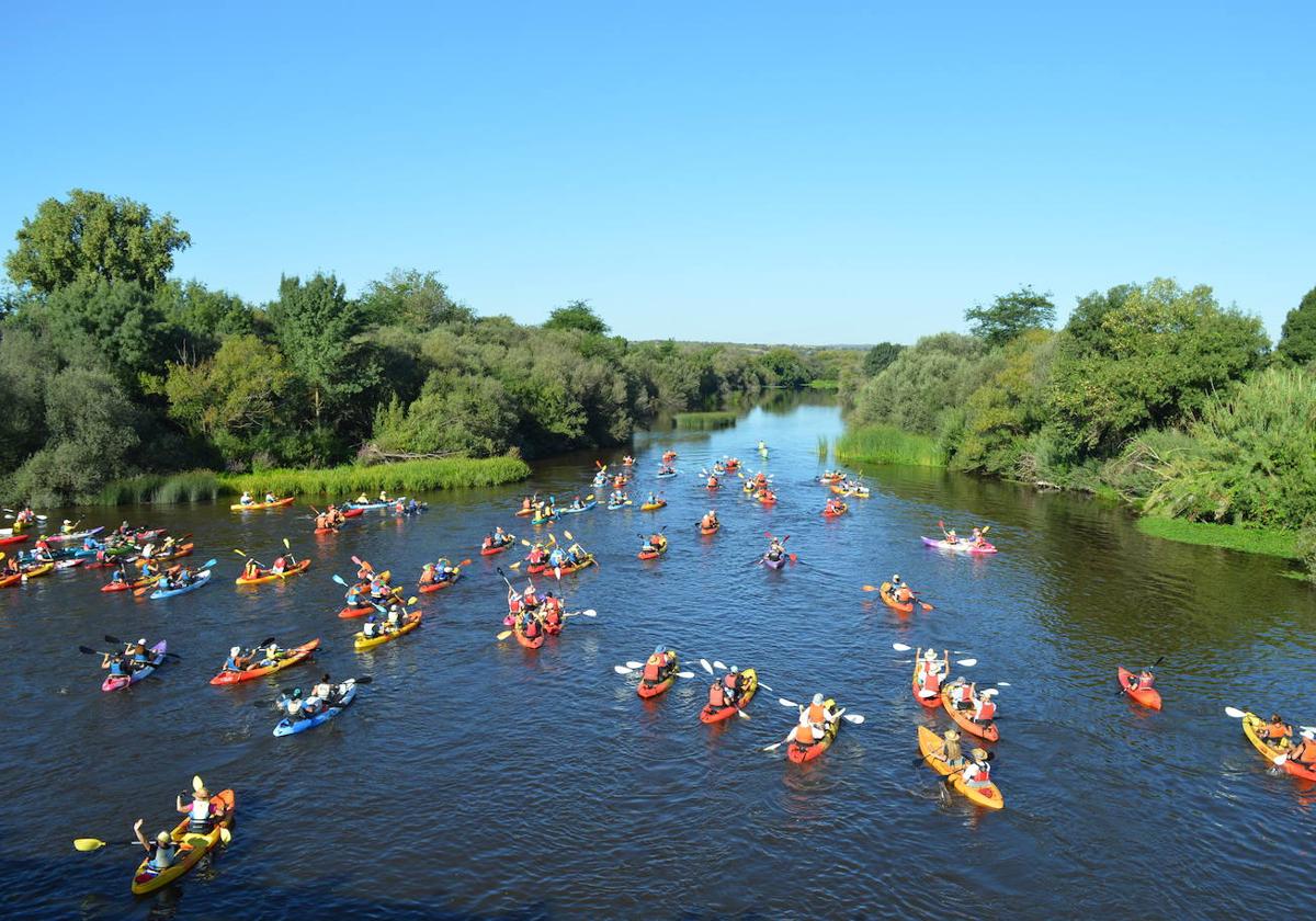 XIV descenso Río Alagón, en imágenes