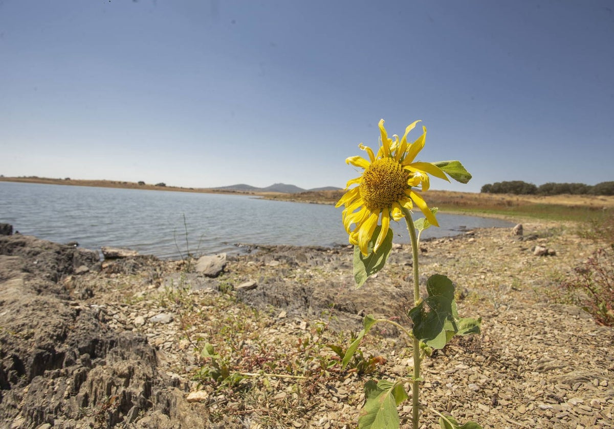 Vista del embalse del Guadiloba en una imagen del verano de 2022.