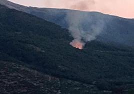 Imagen del primer foco fue detectado en el término municipal de Jerte el pasado sábado.