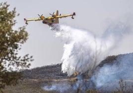 Un hidroavión descarga entre Casas de Miravete y Deleitosa, en una zona arrasada por las llamas en una imagen de archivo.