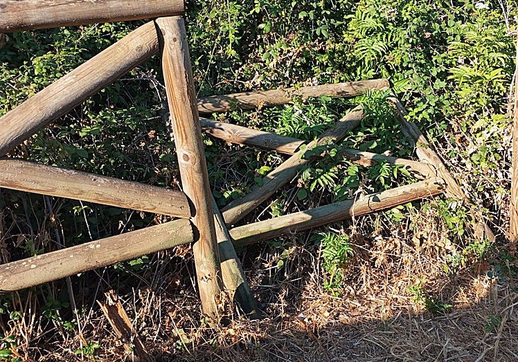 Imagen principal - Arriba una valla destrozada. Debajo un banco precintado y otro de los bancos del merendero por el suelo.