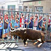 Sigue ingresado el joven corneado por un toro en Torrejoncillo