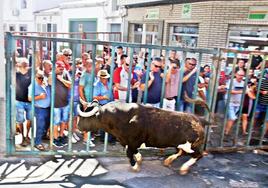 Imagen de la salida del segundo encierro matinal con el toro 'Estafador' de la ganadería Monteviejo.