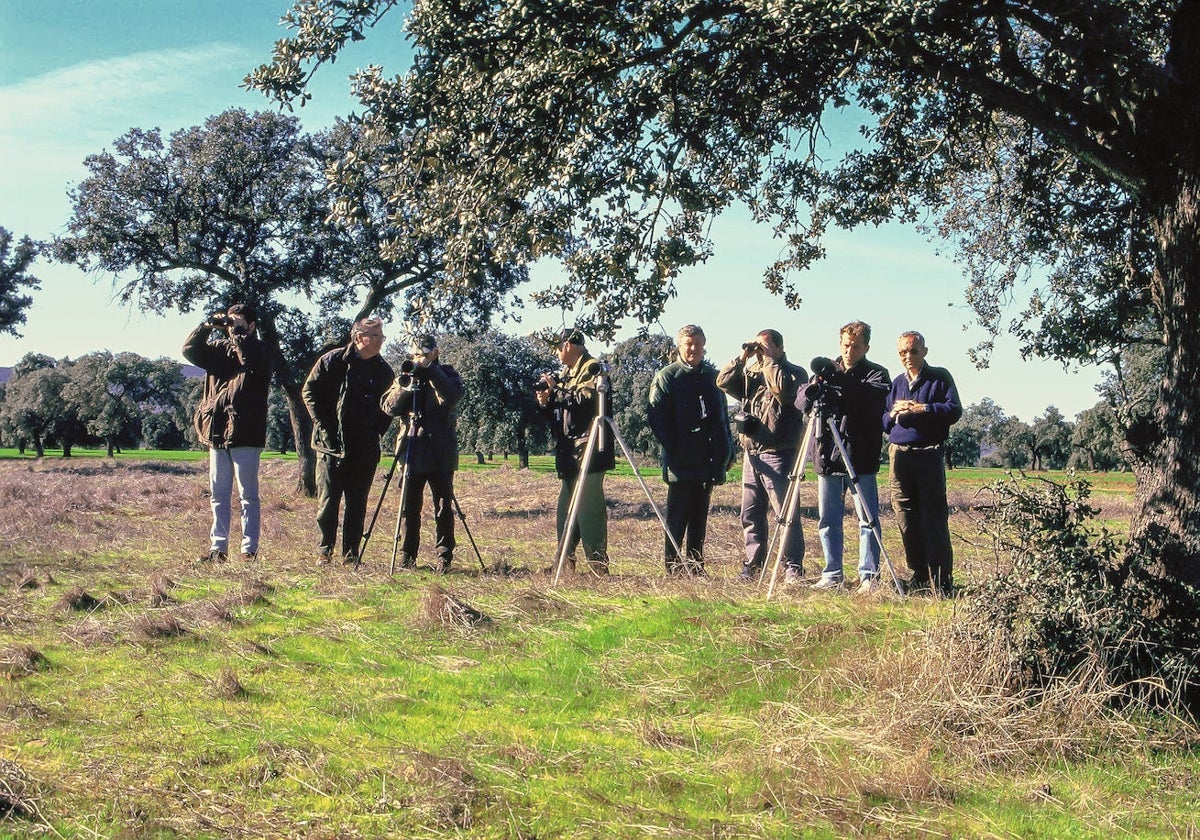 Observación de aves en Cornalvo.