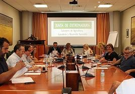 Mercedes Morán reunida con los principales representantes del campo extremeño.