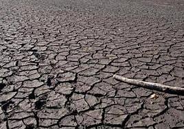 Imagen de archivo de los estragos de la sequía en Extremadura.