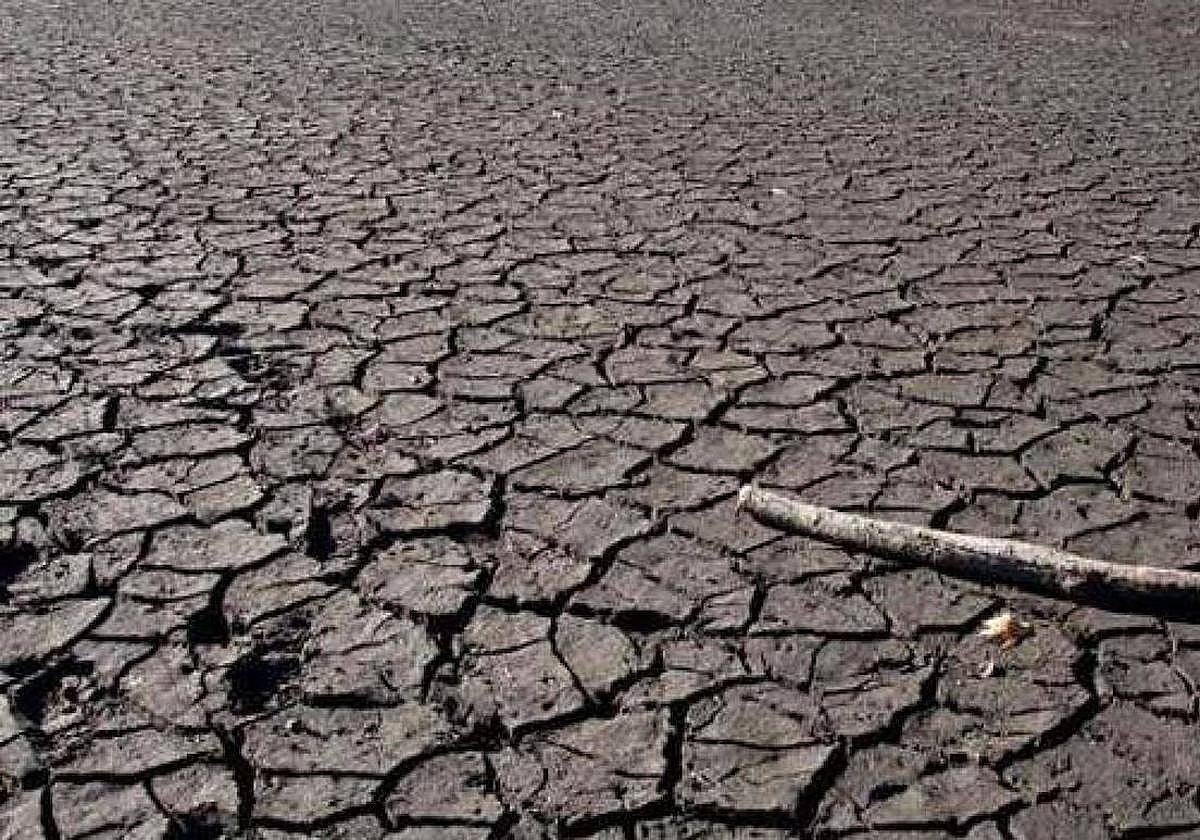 Imagen de archivo de los estragos de la sequía en Extremadura.