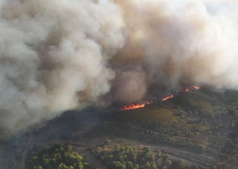 Imagen secundaria 1 - Estabilizado el incendio forestal en Jaraíz de la Vera