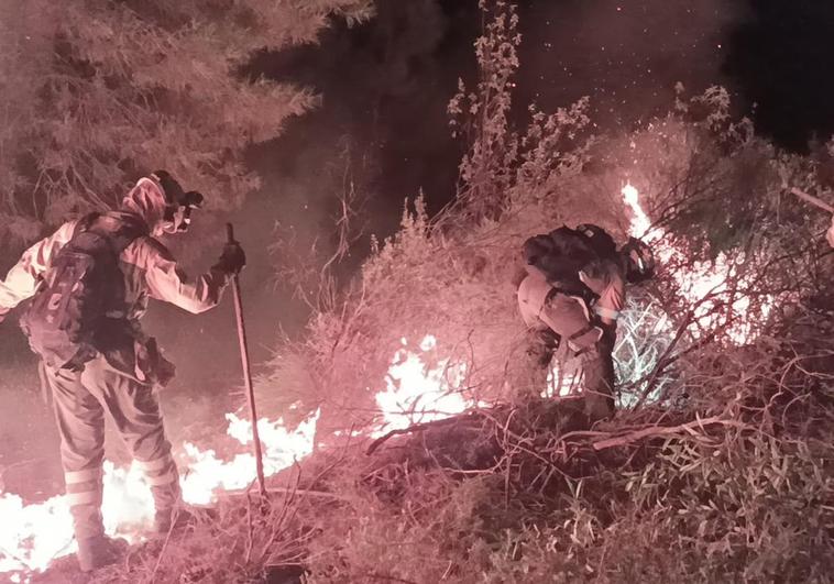 Bomberos luchando contra las llamas en el incendio de Jaraíz.