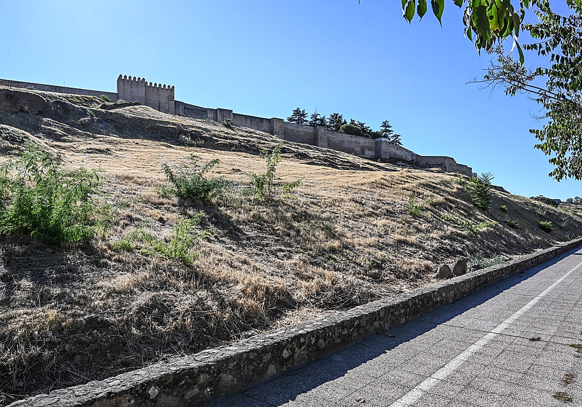 Imagen de la ladera de la Alcazaba, que este año apenas ha ardido porque ha sido frecuentemente desbrozada.