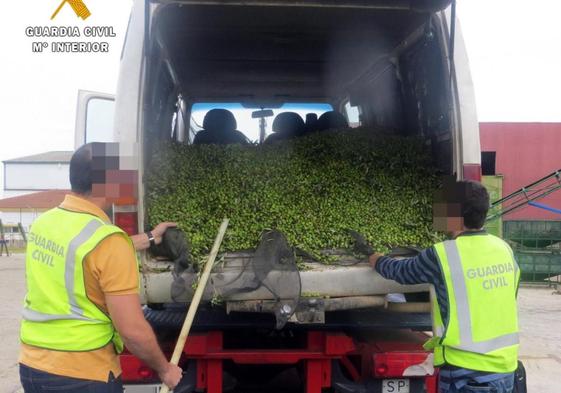 Agentes inspeccionan un cargamento de aceituna robada en Villafranca de los Barros.