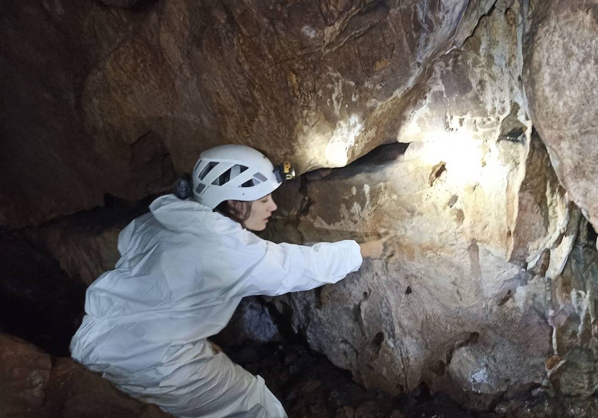 Interior de la cueva de Maltravieso, en el calerizo cacereño.