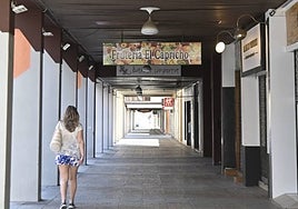 Los techos de los soportales de Juan Carlos I reproducirán las aves extremeñas.