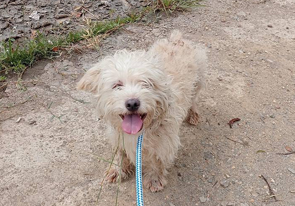 Rivillas antes de ser trasladado a la clínica.