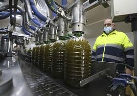 Un trabajador de Viñaoliva durante el envasado de aceite de oliva.