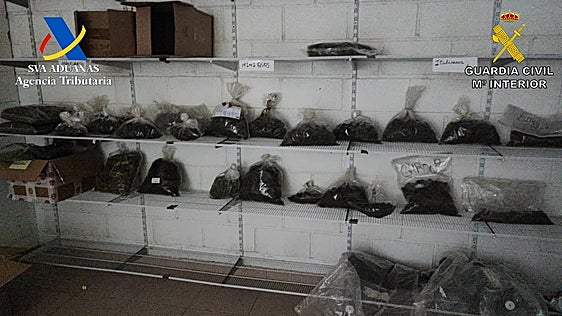 Imagen del interior de la nave con bolsas de marihuana.