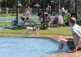Celebración de la actividad el pasado año.