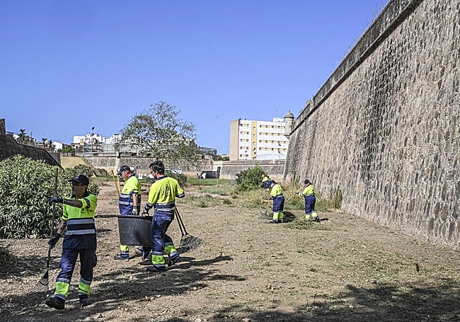 Jardineros municipales adecentan el foso cercano a la plaza de toros, hasta donde llegará el corredor.