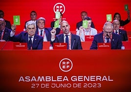 Pedro Rocha y Rubiales en la Asamblea de junio.