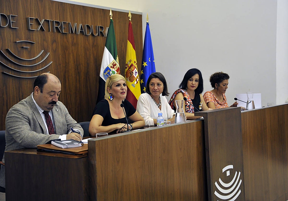 La consejera de Hacienda y Administración Pública, Elena Manzano, en su comparecencia en la Asamblea.